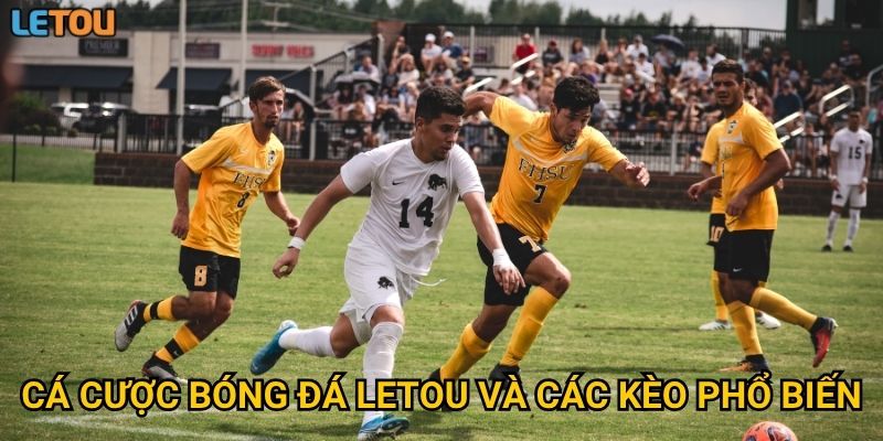 Cá cược bóng đá Letou và các kèo phổ biến