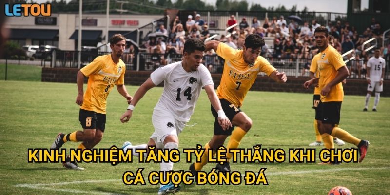 Kinh nghiệm tăng tỷ lệ thắng khi chơi cá cược bóng đá