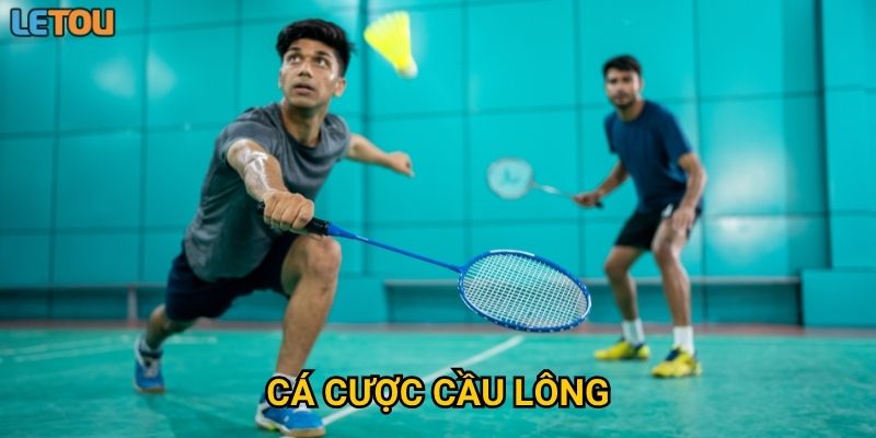 Bí quyết cá cược cầu lông tại Letou dành cho người mới