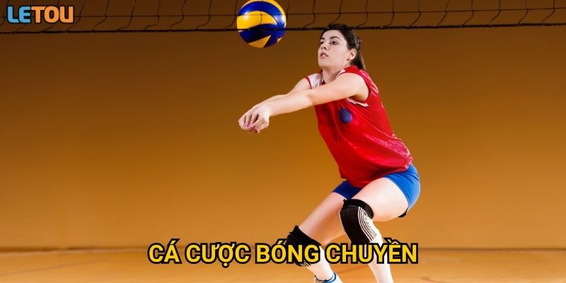 Cá cược bóng chuyền tại Letou – Cơ hội vàng cho người đam mê thể thao?
