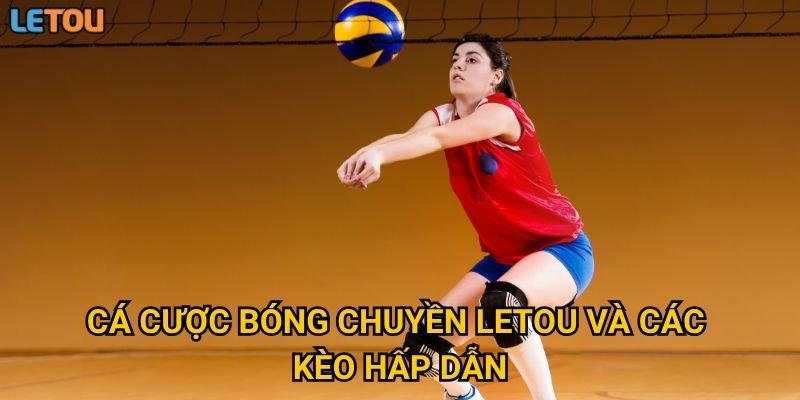 Cá cược bóng chuyền Letou và các kèo hấp dẫn
