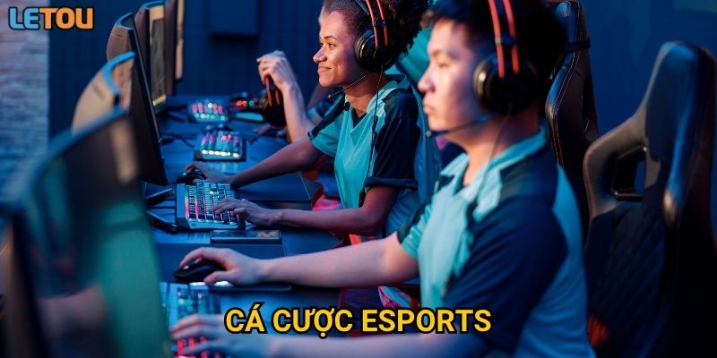 Cá cược Esports tại Letou có gì đặc biệt so với thể thao truyền thống?