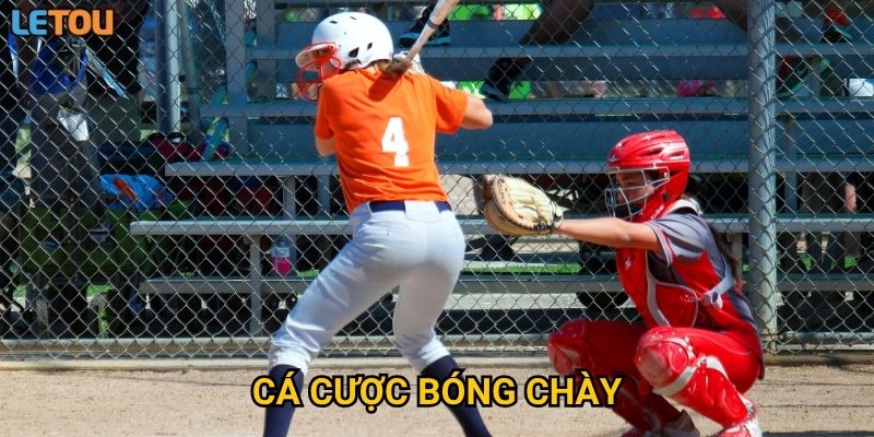 Cá cược bóng chày tại Letou thế nào để tối ưu lợi nhuận?