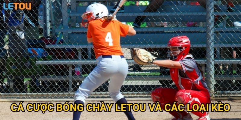 Cá cược bóng chày Letou và các loại kèo