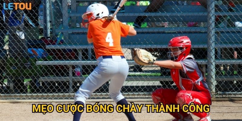 Mẹo cược bóng chày thành công