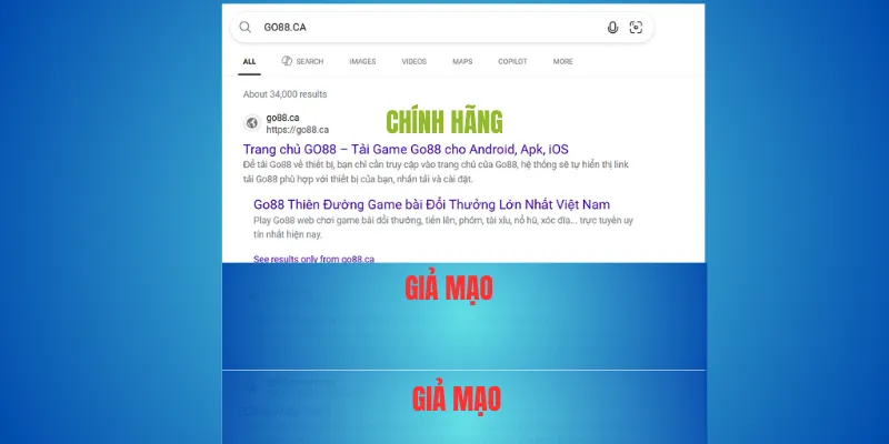 Go88.com và Go88.ca – cặp đôi miền thật của thương hiệu Go88 1 Go88